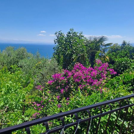 Apartment Camelia Opatija Exterior photo